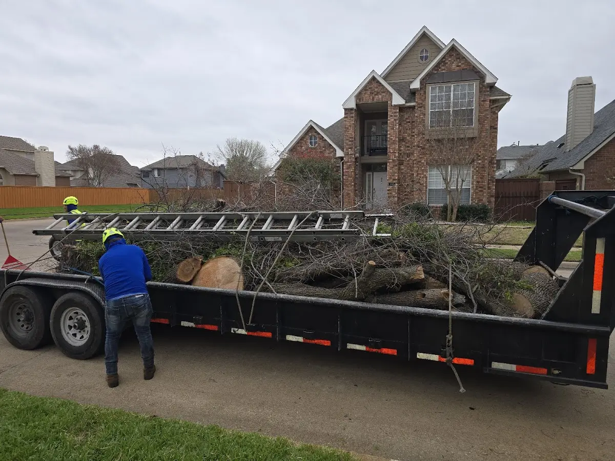 Expert Lot Clearing with proper safety equipment in Wells